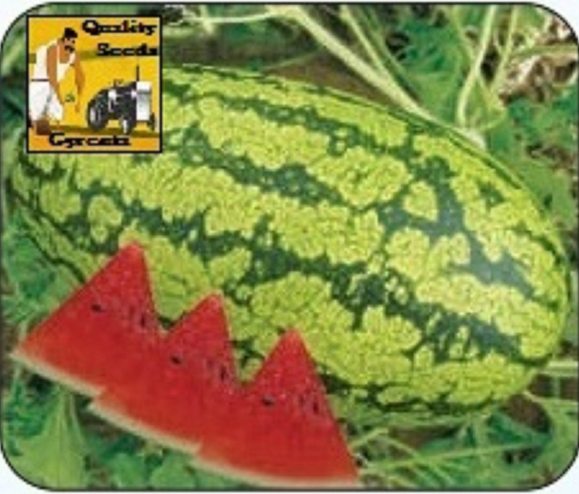 WATERMELON